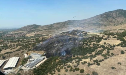 İzmir’de orman yangını (2)