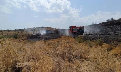 İzmir’deki makilik yangınında 3 hektar alan zarar gördü