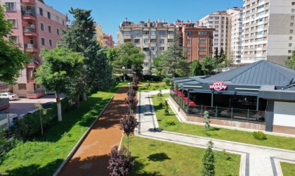 Kafe Karatayların sayısı artıyor