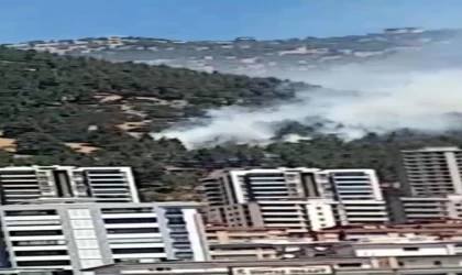 Kahramanmaraş’ta orman yangını