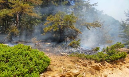 Kahramanmaraştaki orman yangını iki noktada devam ediyor