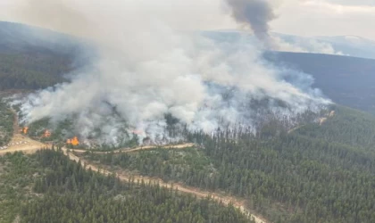 Kanada’nın Batı Kelowna bölgesinde 50 yapı yangında yıkıldı