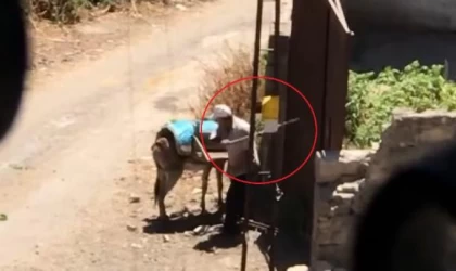 Kapıya bağlı eşeğe uygulanan şiddet kamerada
