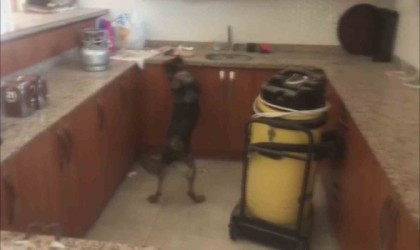 Kargo kutularından uyuşturucu çıktı