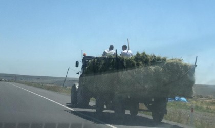 Karsta traktör römorkunda tehlikeli yolculuk
