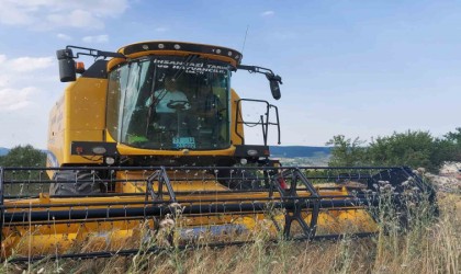 Kastamonuda 10 bin 350 ton siyez buğdayının hasadı yapıldı