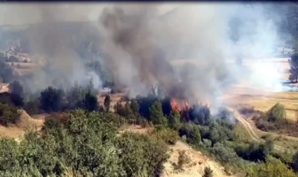 Kastamonu’da yangın, 1 saatte kontrol altına alındı
