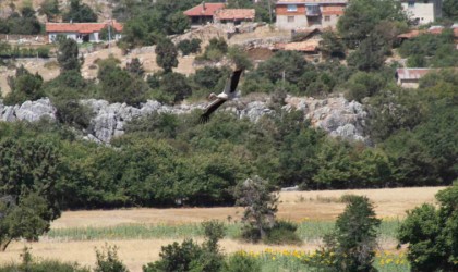 Konyada leyleklerin mekanları sessizliğe büründü