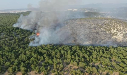 Kütahya’da orman yangını (2)