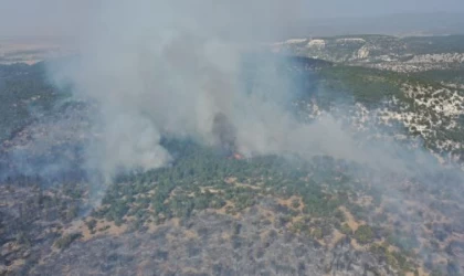 Kütahya’da orman yangını/ Ek fotoğraflar
