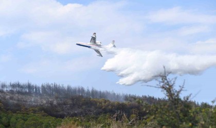 Lapsekideki orman yangını kontrol altına alındı, 7 hektar alan zarar gördü