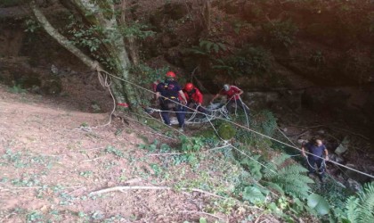 Mağaraya düşen danayı itfaiye kurtardı