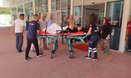 Mahalle muhtarı, tartıştığı kişiyi silahla bacaklarından vurdu