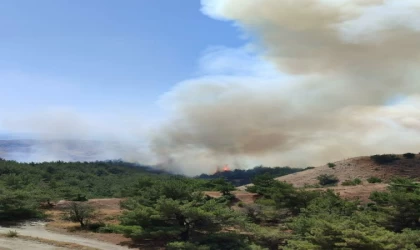 Manisa’da orman yangını
