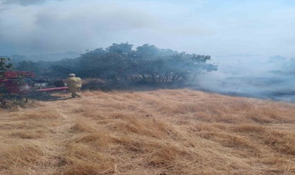 Mardinde iki farklı noktada örtü yangını