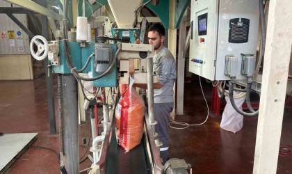 Mercimek Güneydoğunun ekonomisine katkı sunuyor