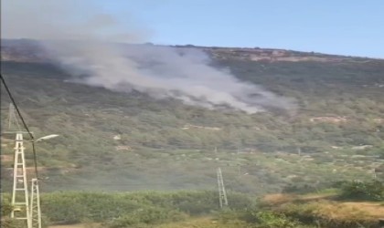 Mersinde orman yangını