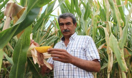 Mısır üreticisi fiyatların yeniden gözden geçirilmesini istedi