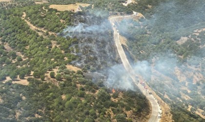 Ödemişteki orman yangını kontrol altında