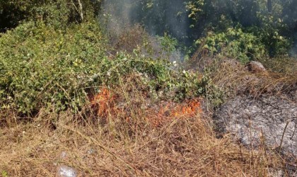 Ormanlık alandaki örtü altı yangını korkuttu