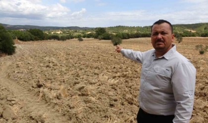 (Özel) Anafartalar Muharebelerinde şehit olan Yarbay Halit Beyin şehit olduğu alan tespit edildi