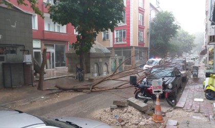 Sağanak yağış yolları göle çevirdi, ağaçları devirdi