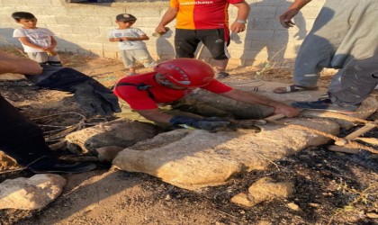 Şanlıurfada itfaiye ekipleri kuyuya düşen kedi için seferber oldu