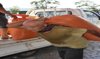 Sezonun ilk fındığı pazara indi