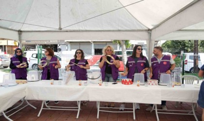 Şiddetten arınmış güvenli bölge “Mor Yerleşke” kuruldu