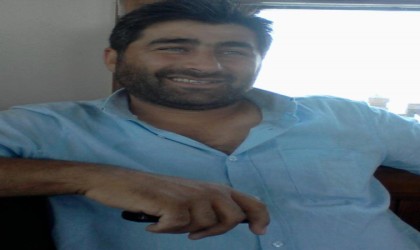 Sinopta kesilen ağacın altında kalan işçisi öldü