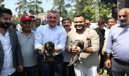 Sivas 2. Gardaşlık Buluşmasına büyük ilgi