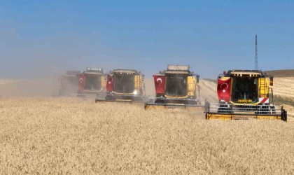 Sivasta tritikale üretiminde rekor kırıldı