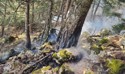 Spil Dağına düşen yıldırım orman yangını çıkardı
