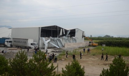 Tarım arazileri Osmangazinin koruması altında