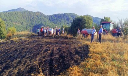 Tarla yangını ormana sıçramadan köylüler tarafından söndürüldü
