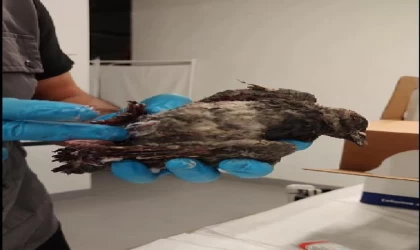 TMO silolarındaki patlamada yaralanan 12 kişiden 3’ü taburcu oldu (2)