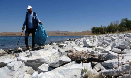 Van Gölündeki martı ölümleri belediyeleri harekete geçirdi