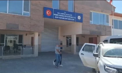 Van’da göçmen kaçakçılığına 2 tutuklama