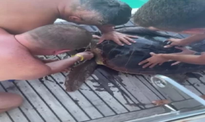 Yaralı deniz kaplumbağasını tekne kaptanı ile tatilciler kurtardı