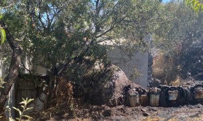 Yılanlı Dağındaki yangın kontrol altına alındı