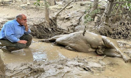 Yüksekovada sel felaketi: Telef olan atının başından ayrılamadı