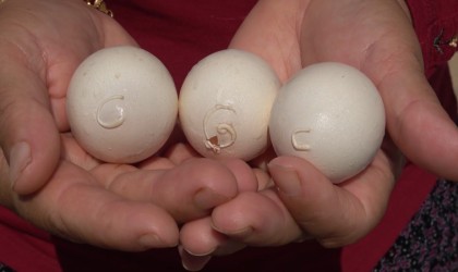 Yumurtanın üzerinde tavuğun sahibinin isim ve soy isminin baş harflerinin olduğu iddiası