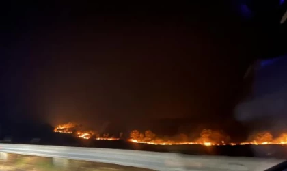 Yunanistan’daki orman yangınlarında 18 kişinin cesedi bulundu