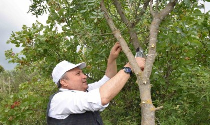 Yunusemre aşılamada hız kesmiyor