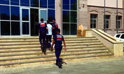 50 hektar ormanın yandığı yangın, çay ateşinden çıkmış