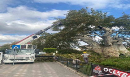 850 yıldır tarihe tanıklık ediyor