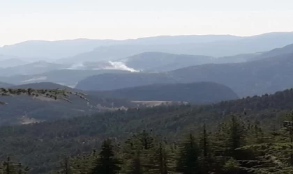 Adana’da orman yangını