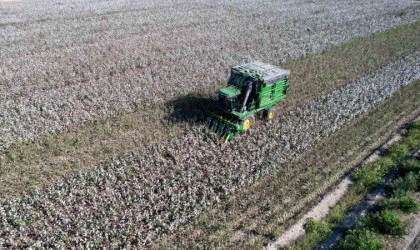 Adanada pamuk hasadı başladı
