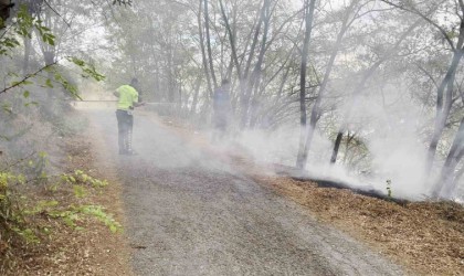 Ağaçlık alanda çıkan yangına polisten müdahale