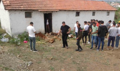 Ahırda bulunan 11 buzağı telef oldu, 4ü yaralandı